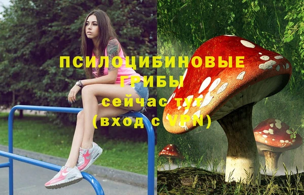 2c-b Балахна