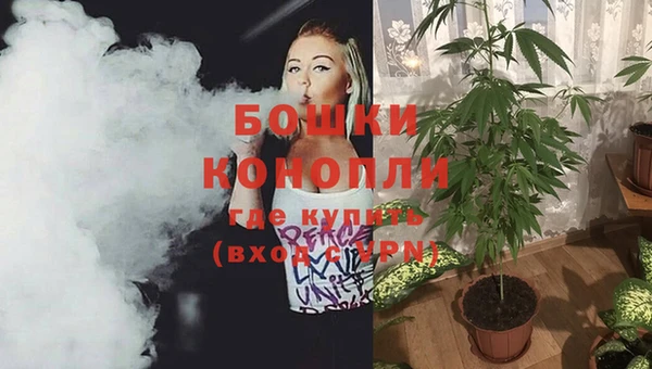 крисы Баксан