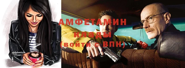 крисы Баксан