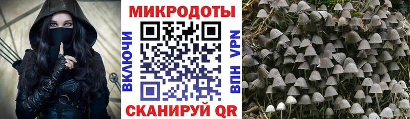 продажа наркотиков  Грязовец  Псилоцибиновые грибы прущие грибы 
